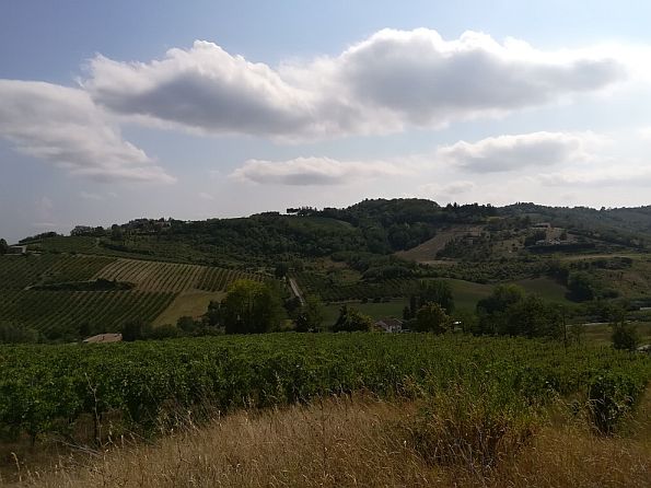 Foto di 'Itinerario Ovest (Villa Silvia, Bertinoro e Polenta)'